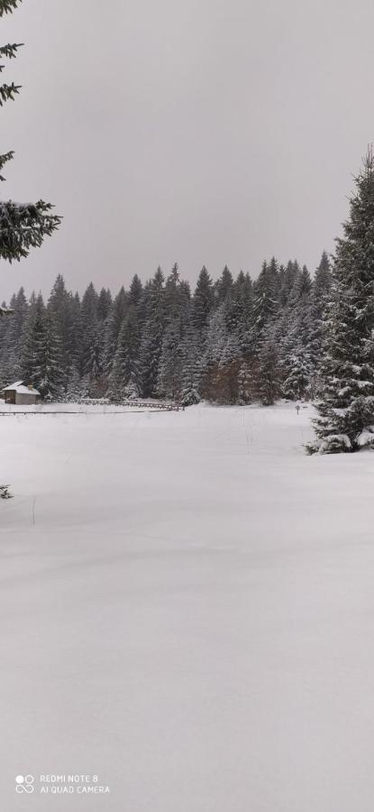 Vila Balerina Mitrovac Dış mekan fotoğraf